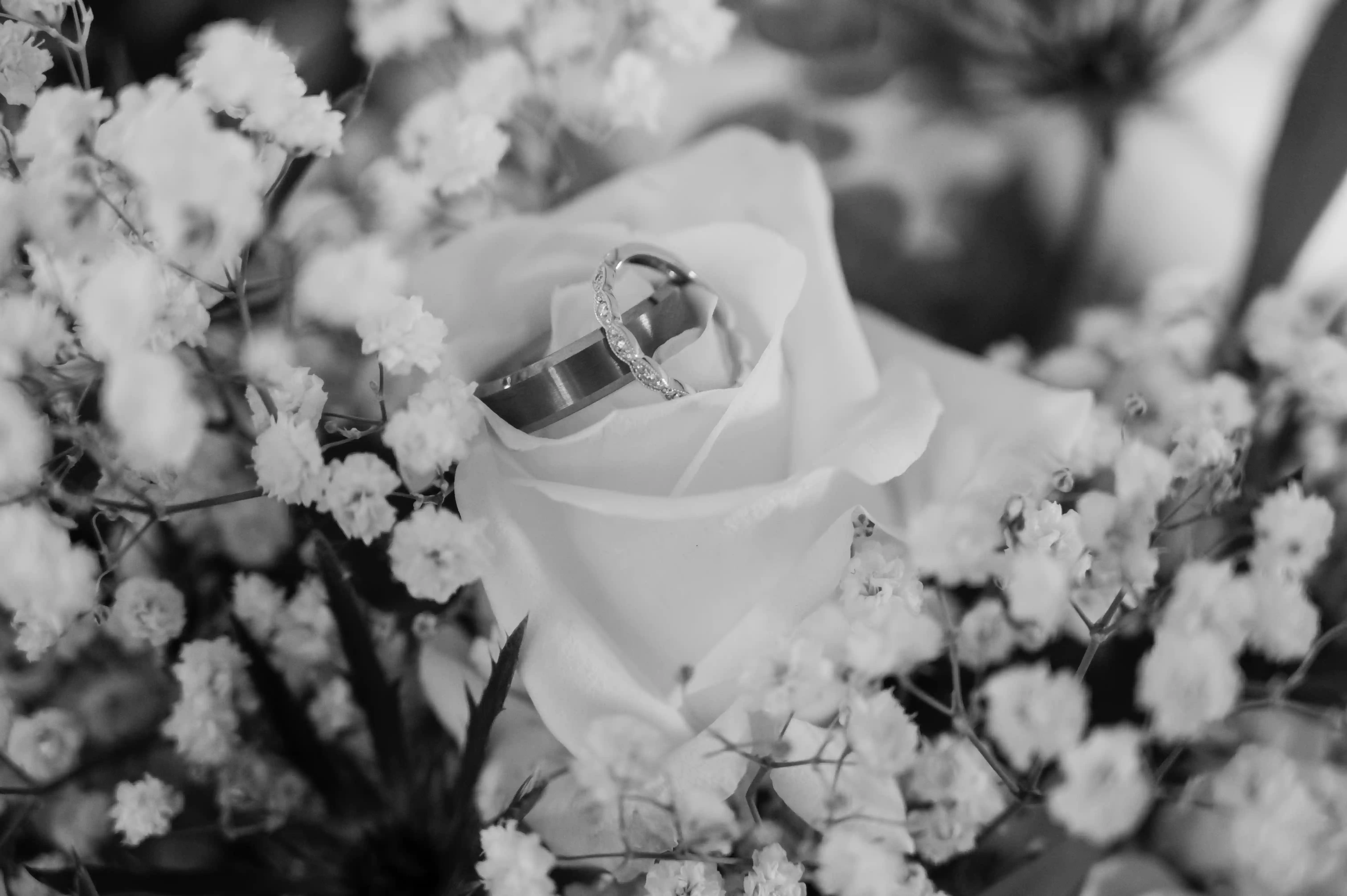 Ceremony Ring Exchange